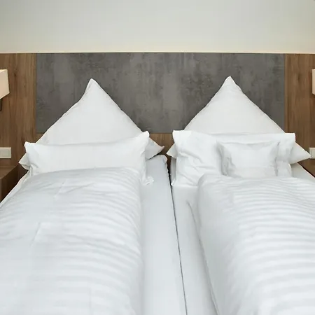 Cityhotel 호텔
